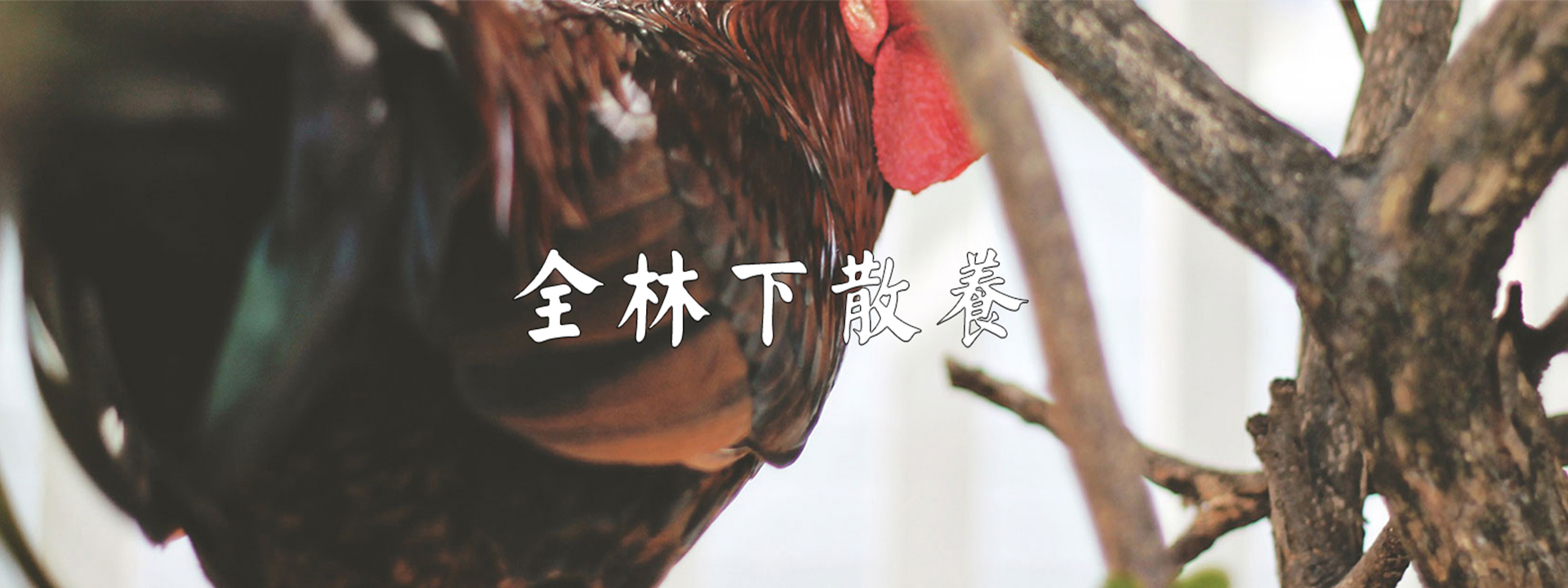 重庆91香蕉视频在线观看农产品配送有限公司